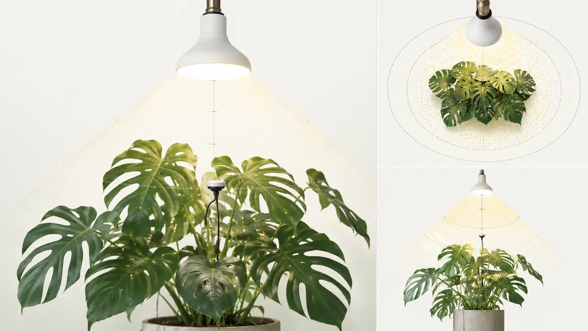 Technical editorial illustration of a bulb grow light above houseplants with PPFD measurement markers