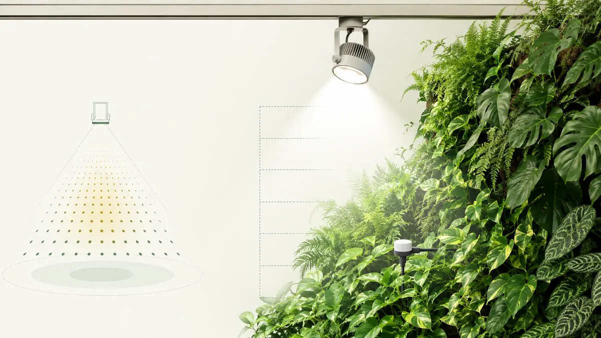 Technical editorial illustration of a track grow light above houseplants with PPFD measurement markers